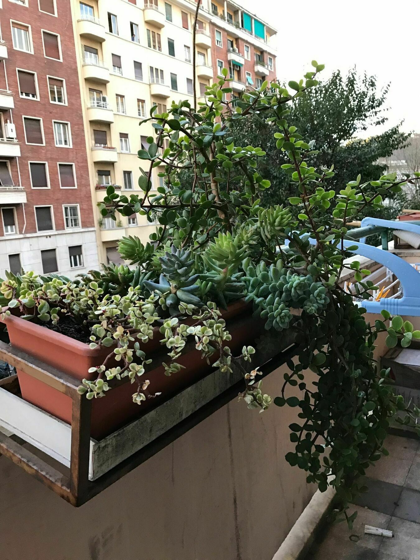 Pardis Guest House روما المظهر الخارجي الصورة