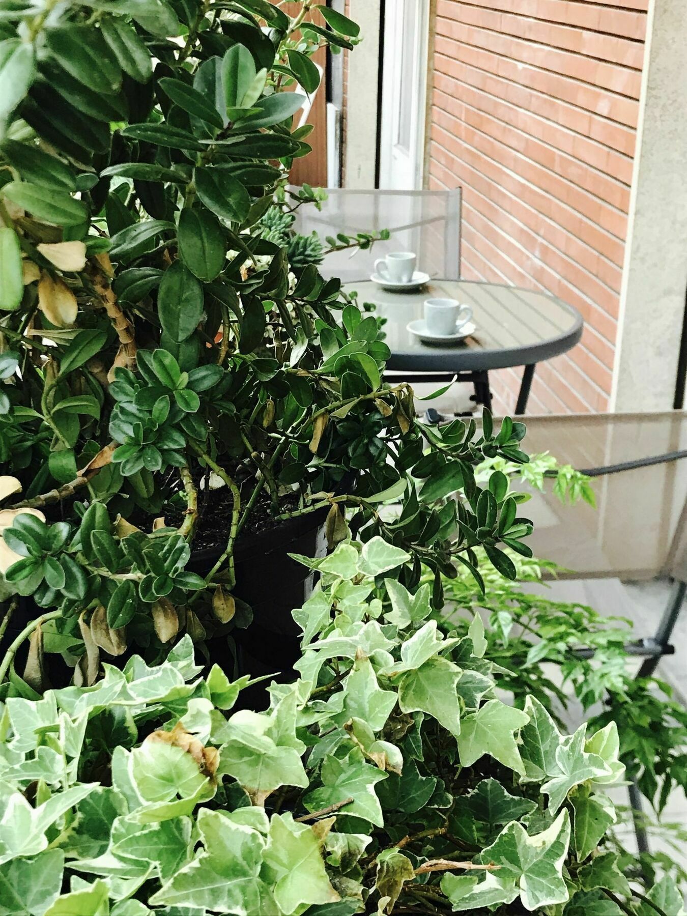 Pardis Guest House روما المظهر الخارجي الصورة